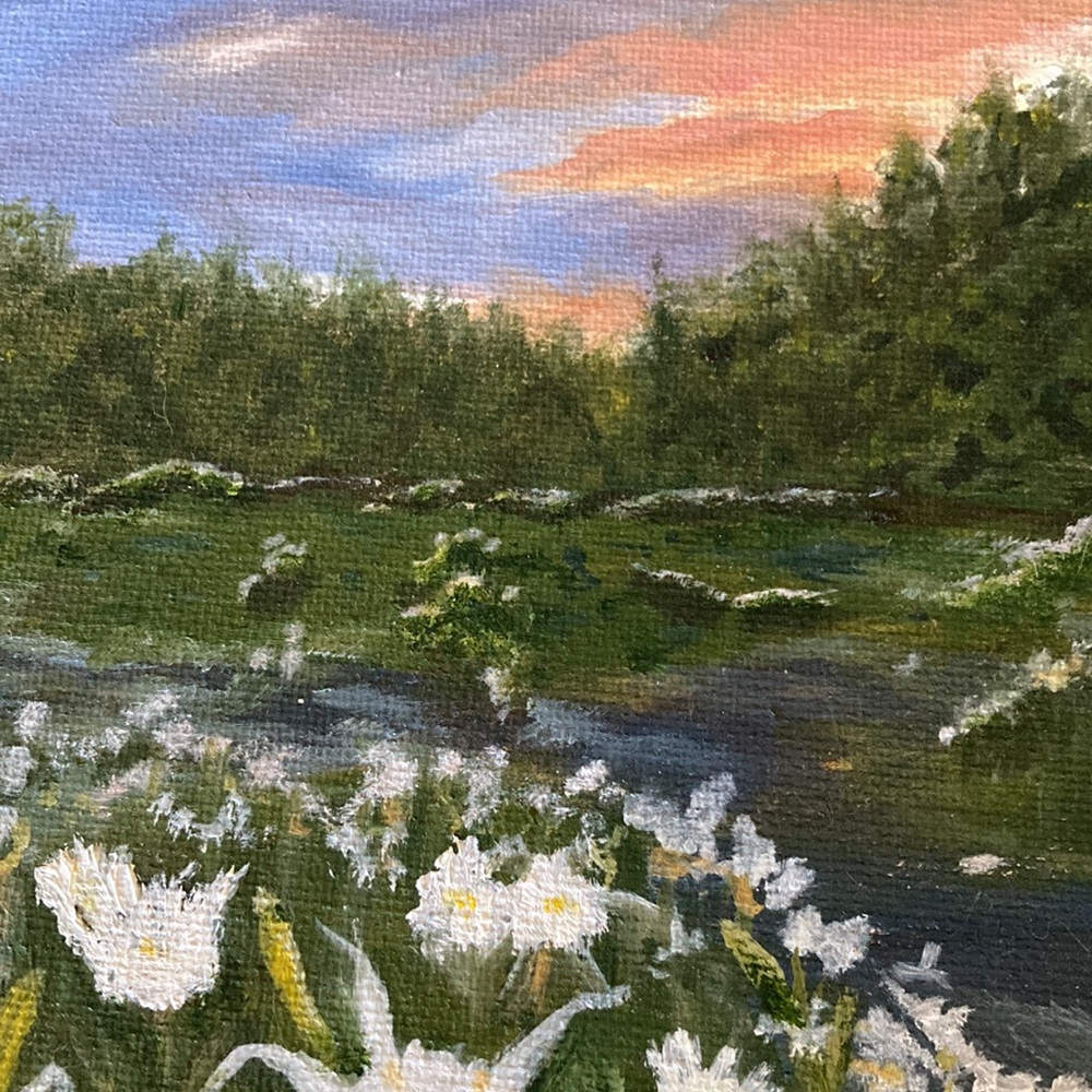 HANDCRAFTED OIL by me of Cahaba Lillies blooming in river, 8 x 10”. $260